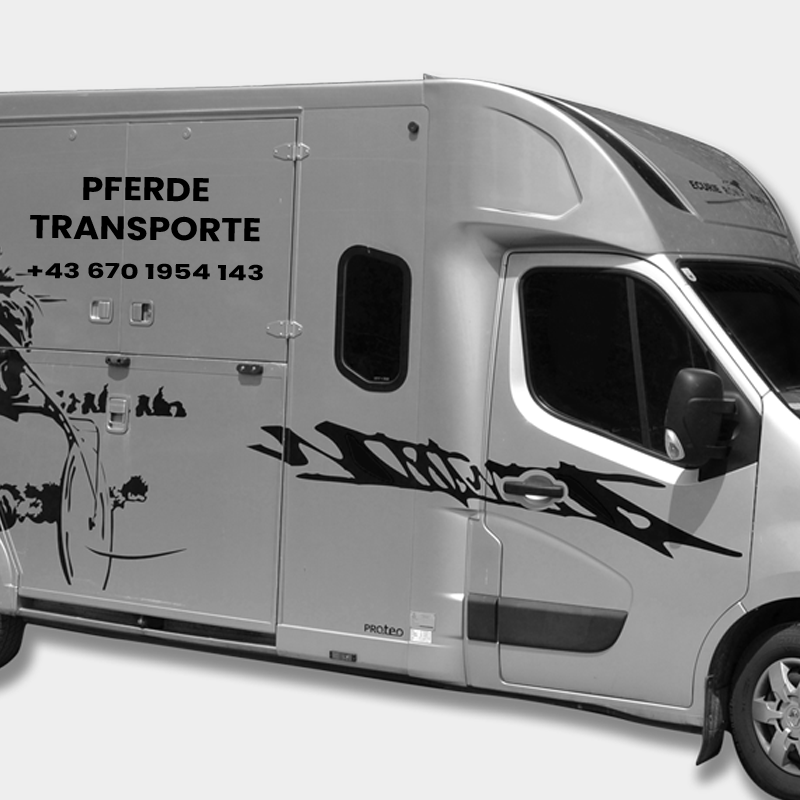 VP17 Portfolio Pferdetransporte Fahrzeugbeklebung Schriftzug Fahrzeugbeklebug Pferdetransporte Wolfgang Ruth